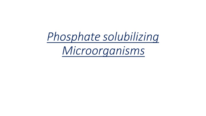 phosphate solubilizing microorganisms