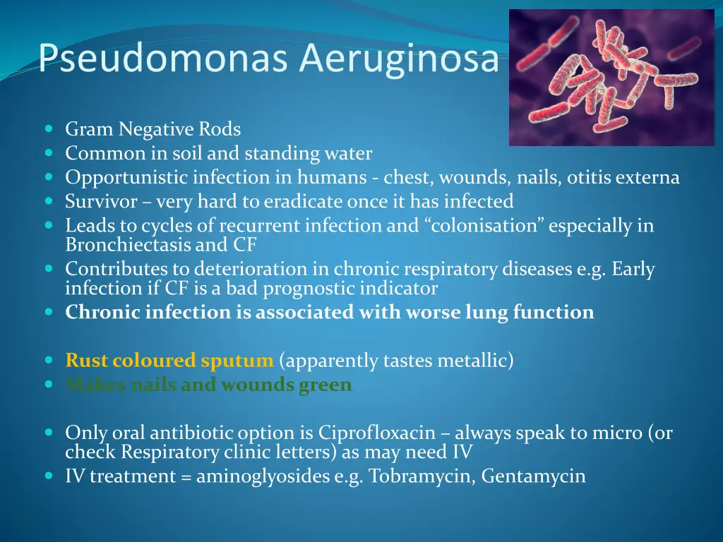 pseudomonas aeruginosa 1