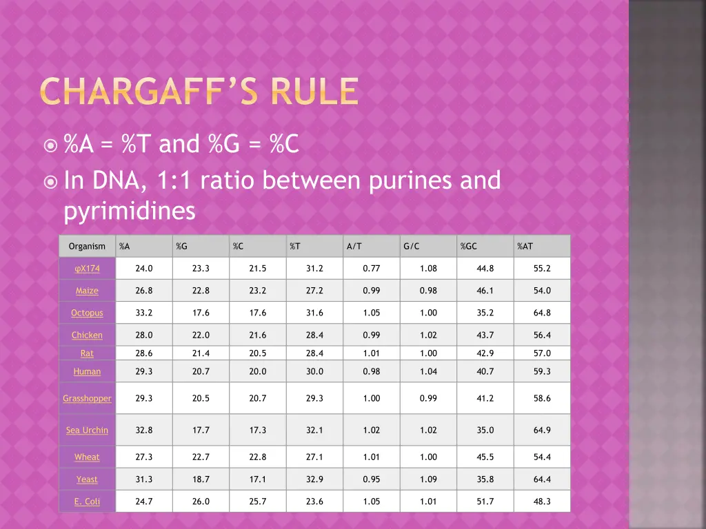 chargaff s rule