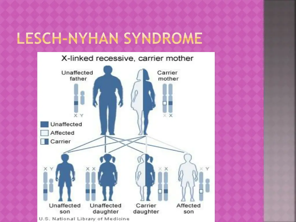 lesch nyhan syndrome 1