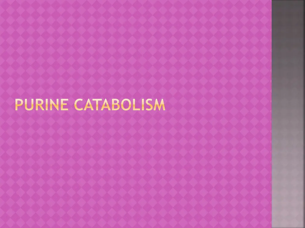 purine catabolism