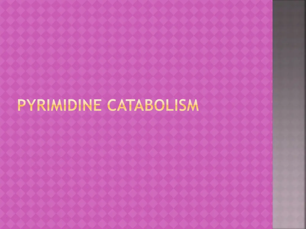 pyrimidine catabolism