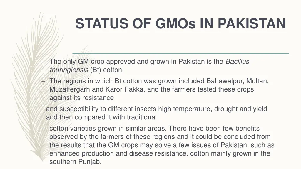 status of gmos in pakistan