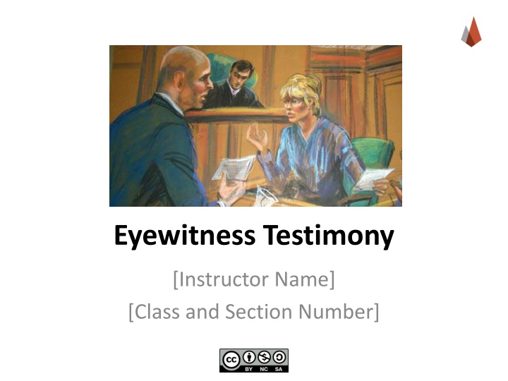 eyewitness testimony