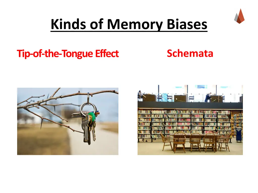 kinds of memory biases