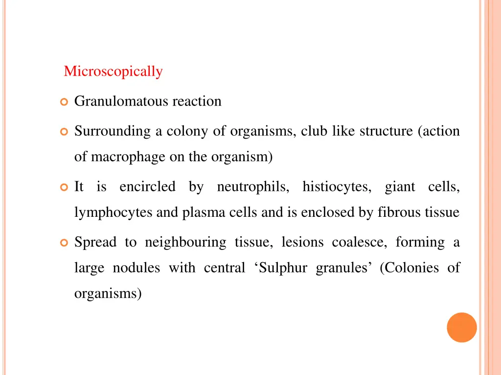 microscopically