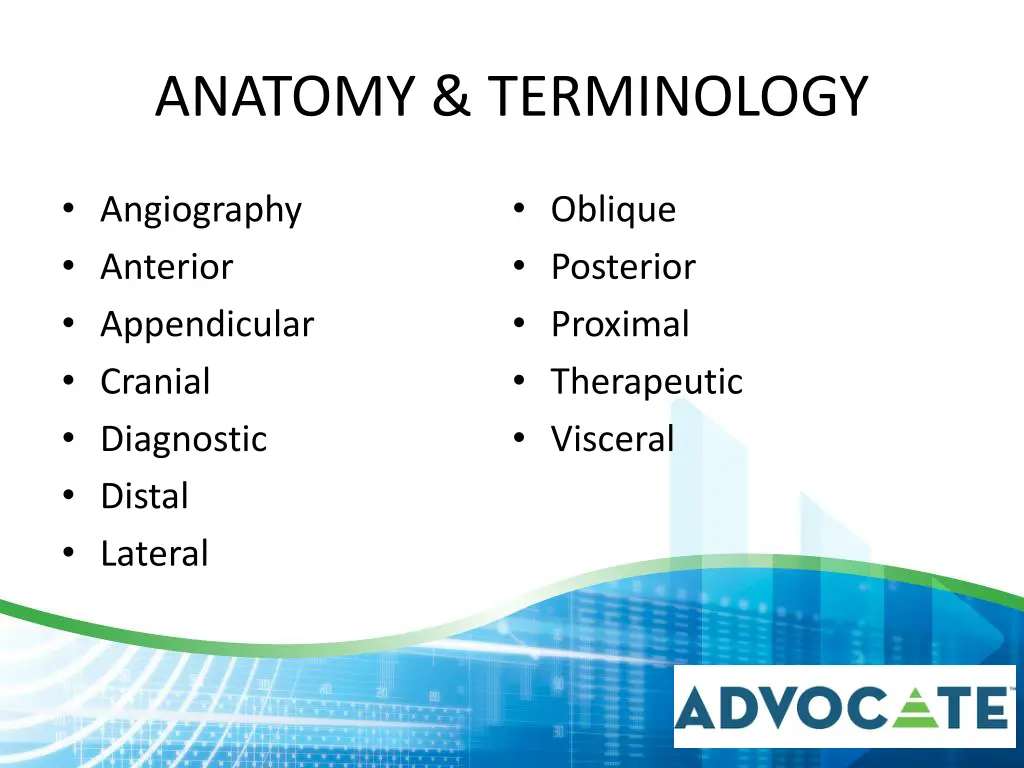 anatomy terminology