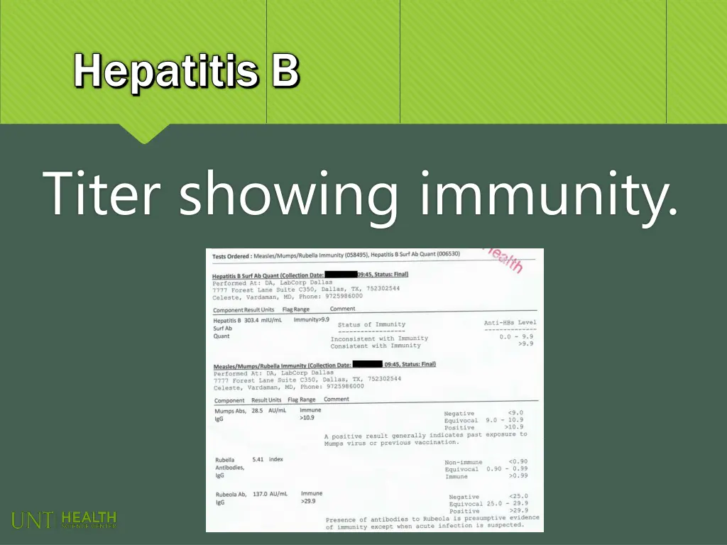 hepatitis b hepatitis b