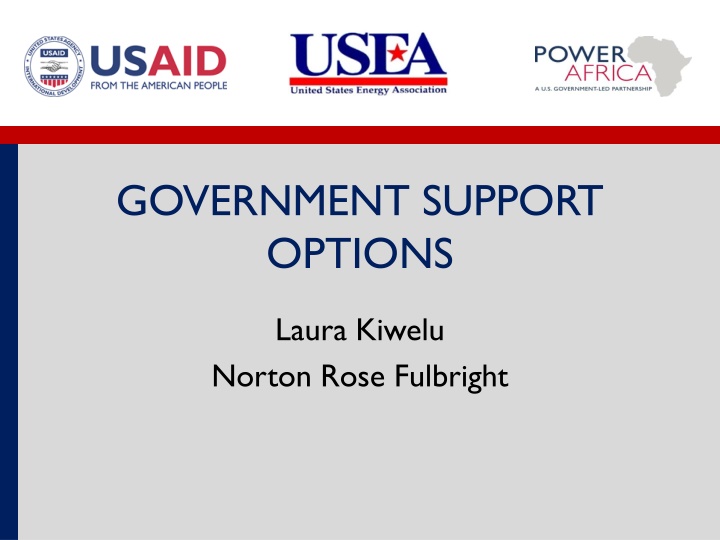 government support options