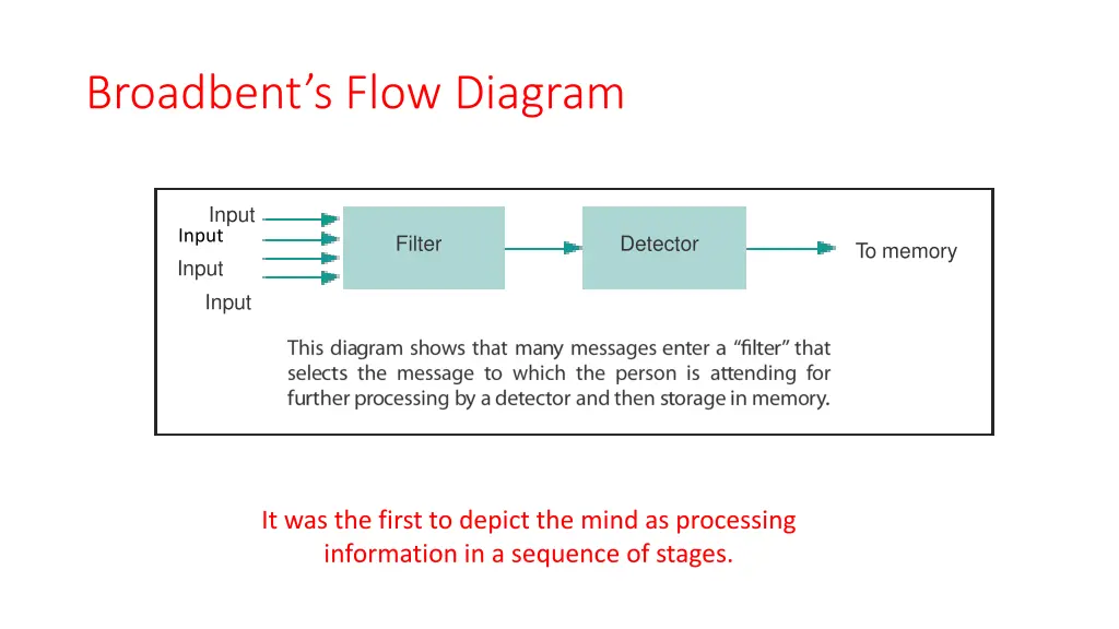 broadbent s flow diagram