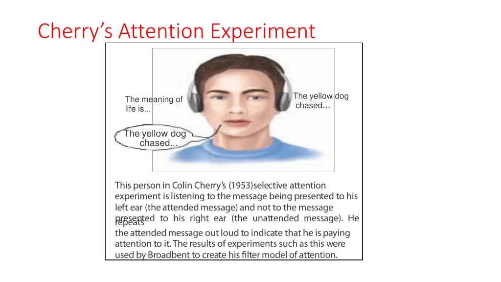 cherry s attention experiment