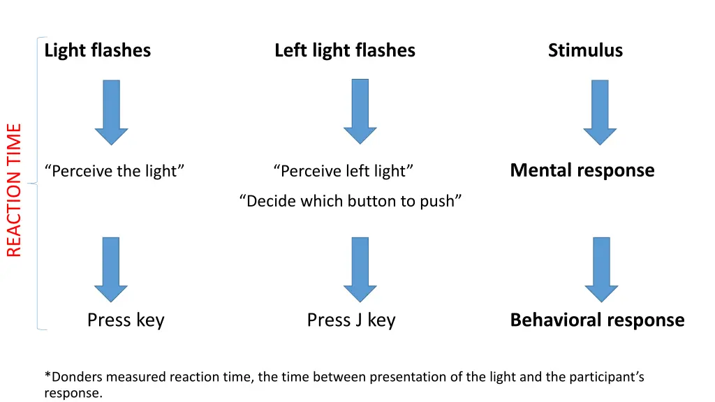 light flashes left light flashes stimulus