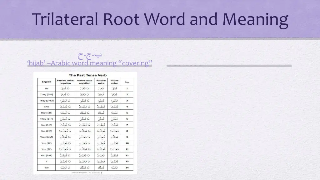 trilateral root word and meaning