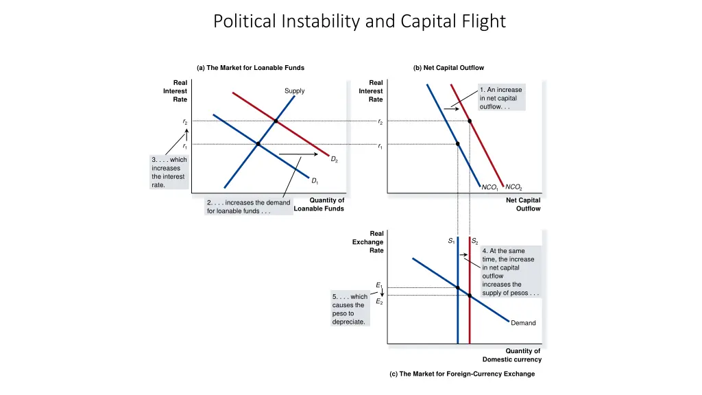 political instability and capital flight 1