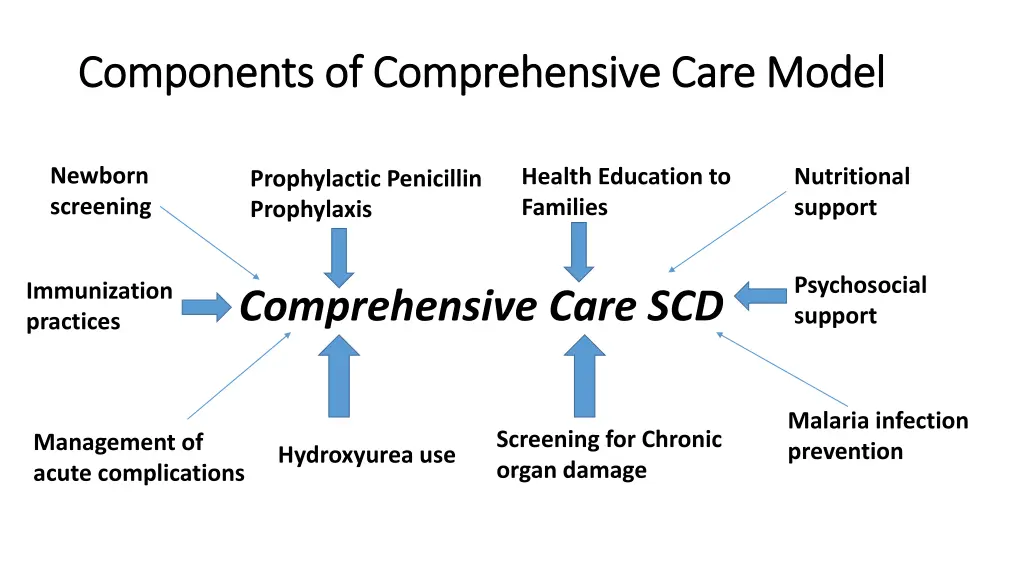 components of comprehensive care model components