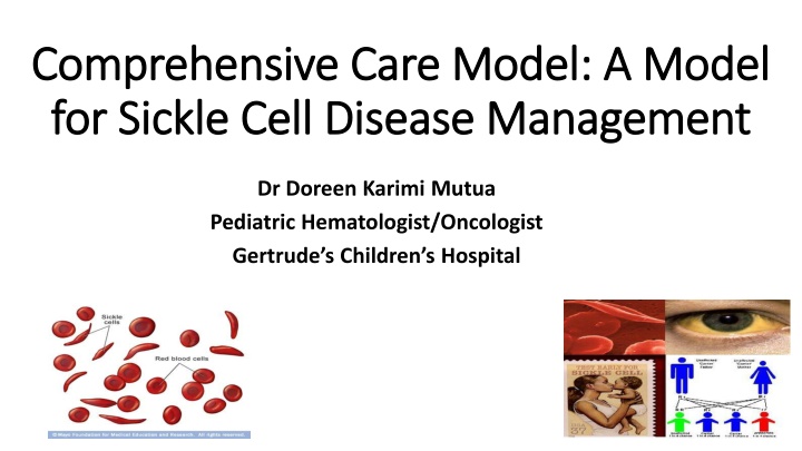 comprehensive care model a model comprehensive