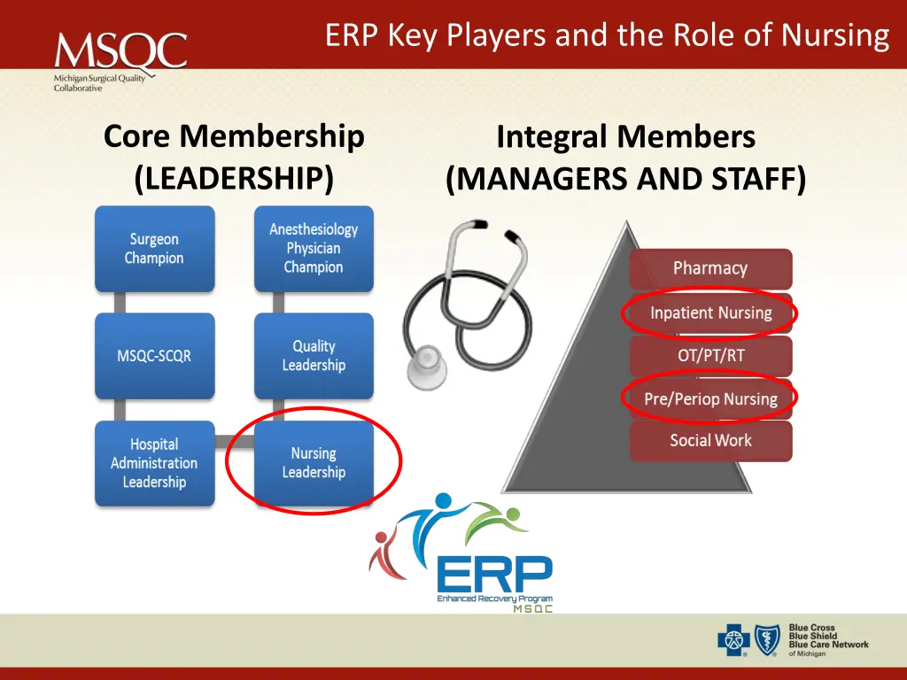 erp key players and the role of nursing