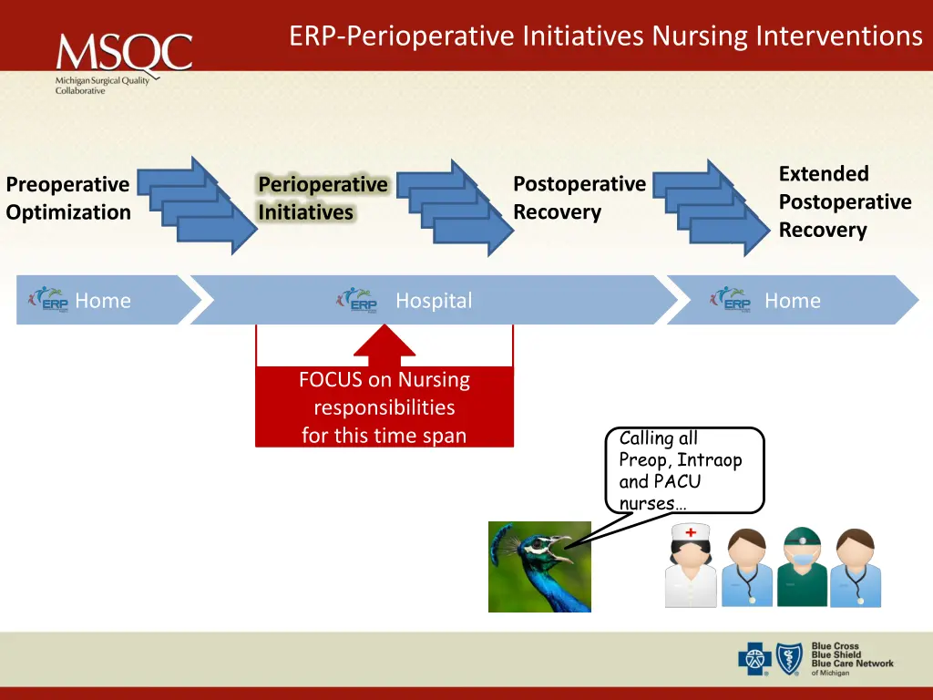 erp perioperative initiatives nursing