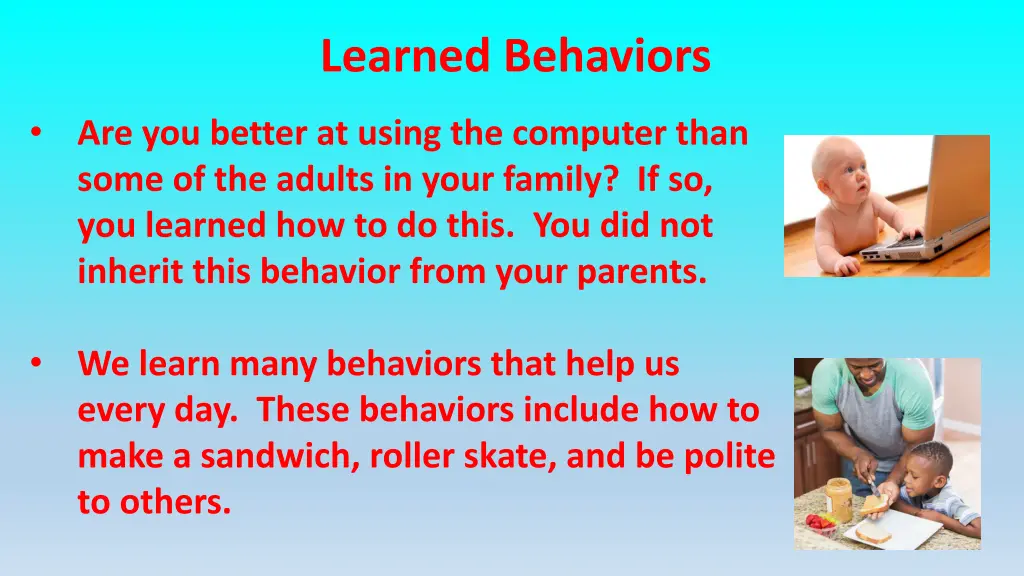 learned behaviors