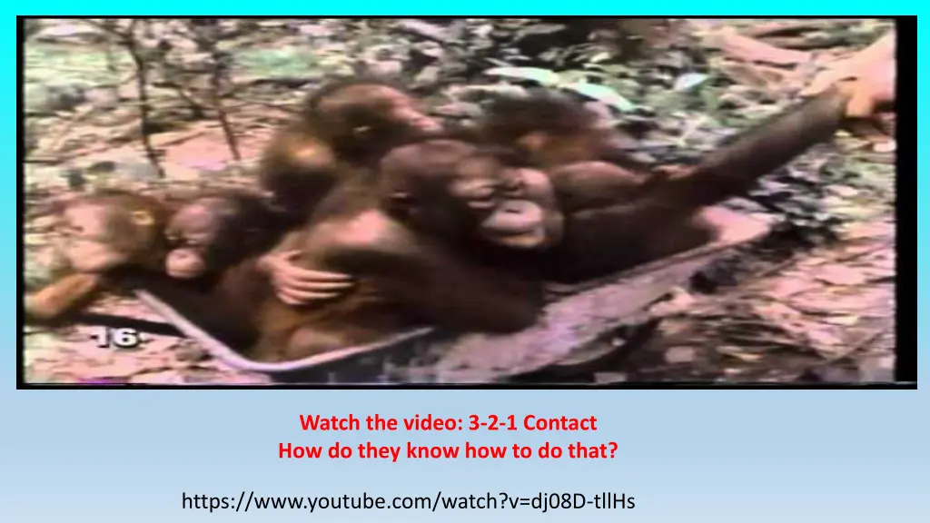 watch the video 3 2 1 contact how do they know