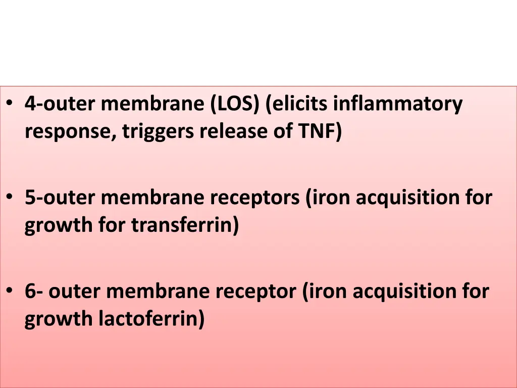 4 outer membrane los elicits inflammatory