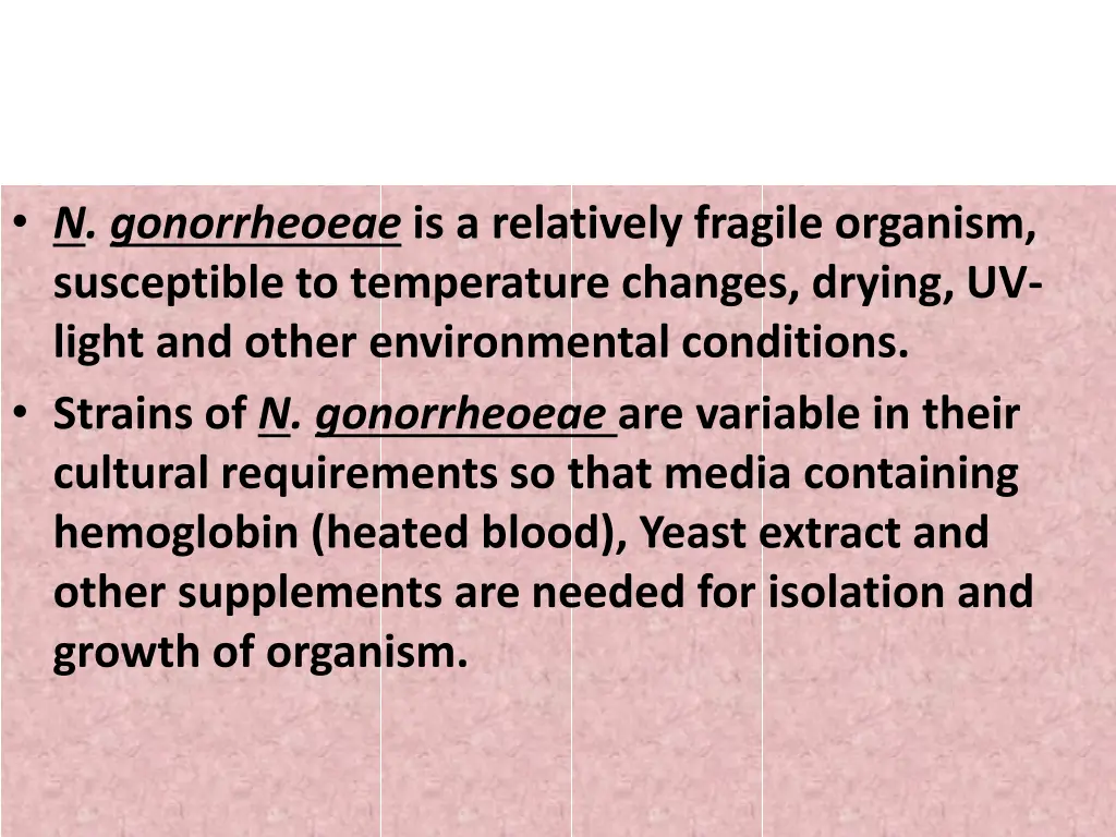 n gonorrheoeae is a relatively fragile organism