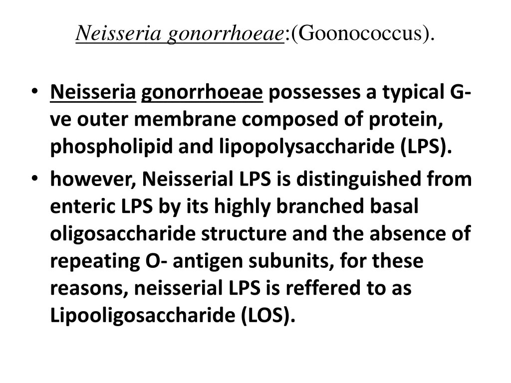 neisseria gonorrhoeae goonococcus