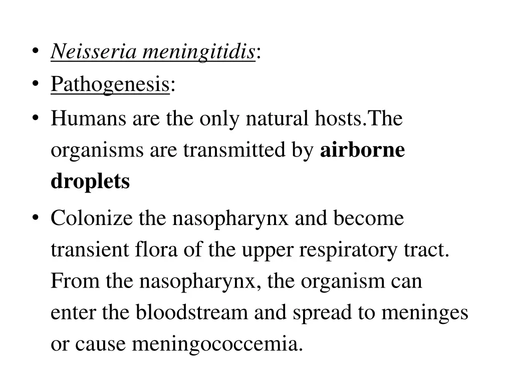 neisseria meningitidis pathogenesis humans