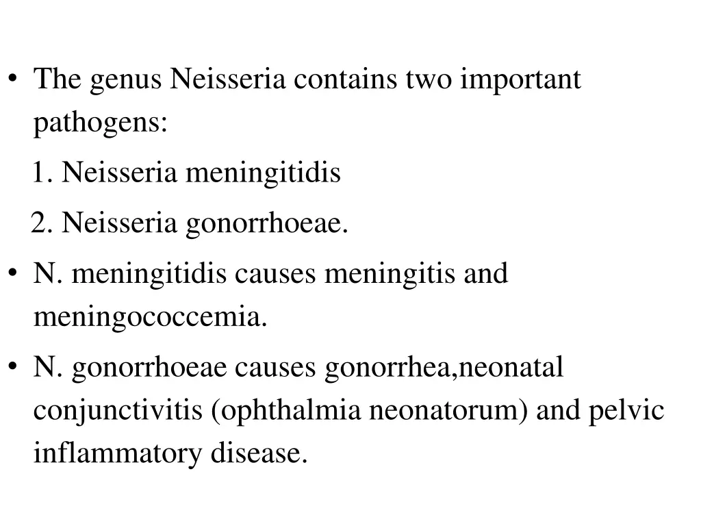 the genus neisseria contains two important