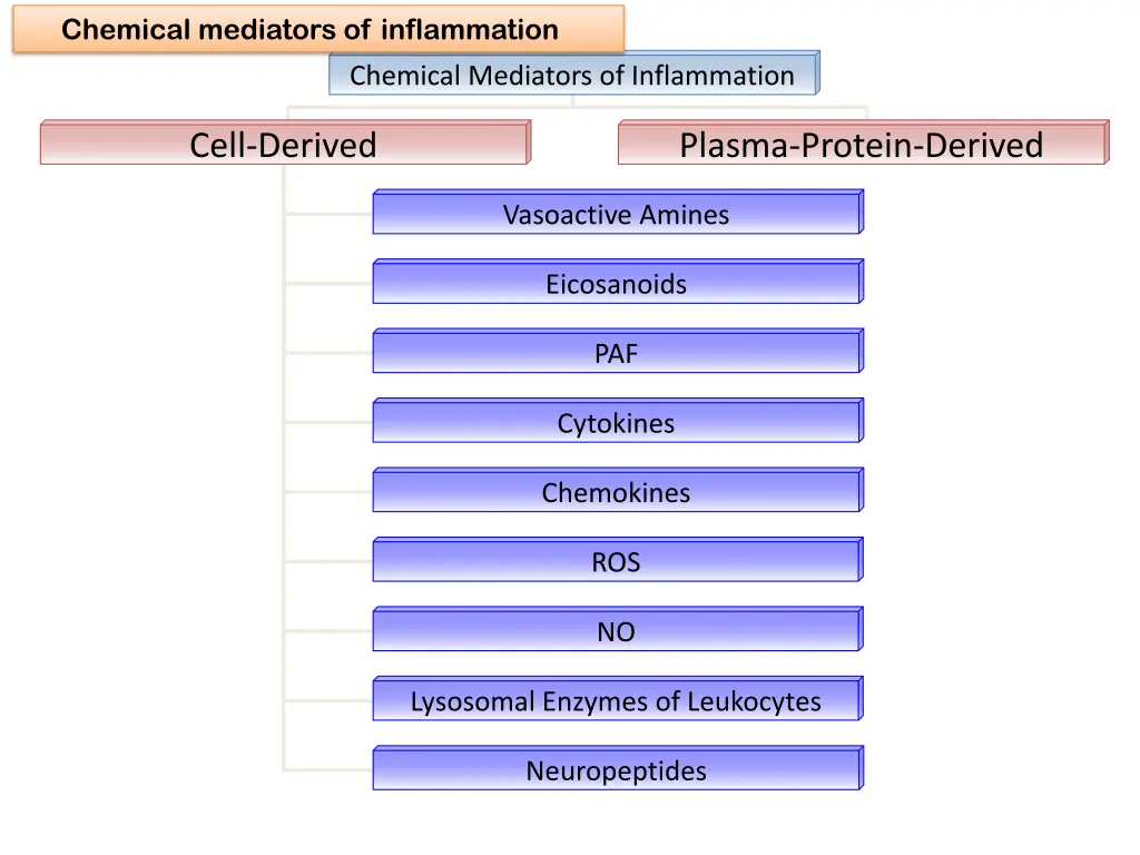 chemical mediators of inflammation 3