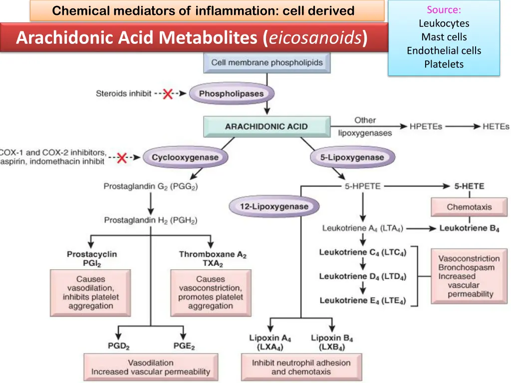 chemical mediators of inflammation cell derived 2