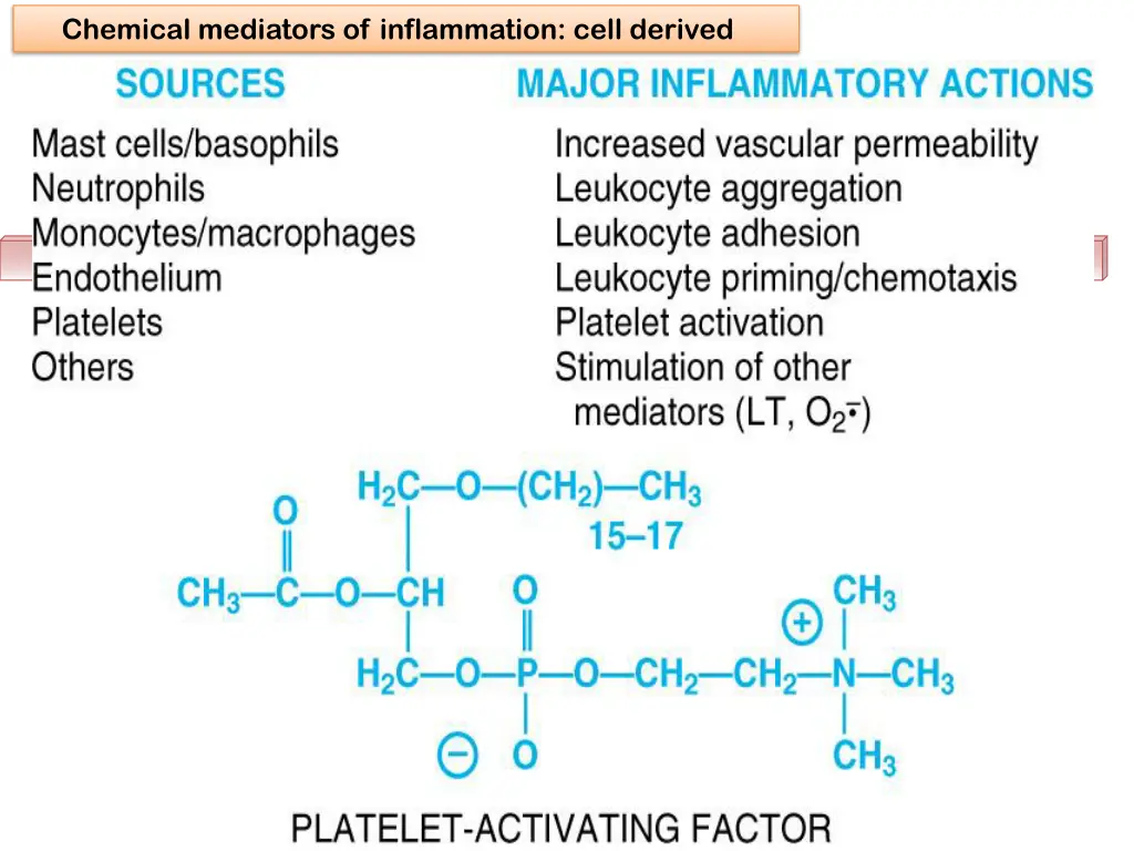 chemical mediators of inflammation cell derived 3