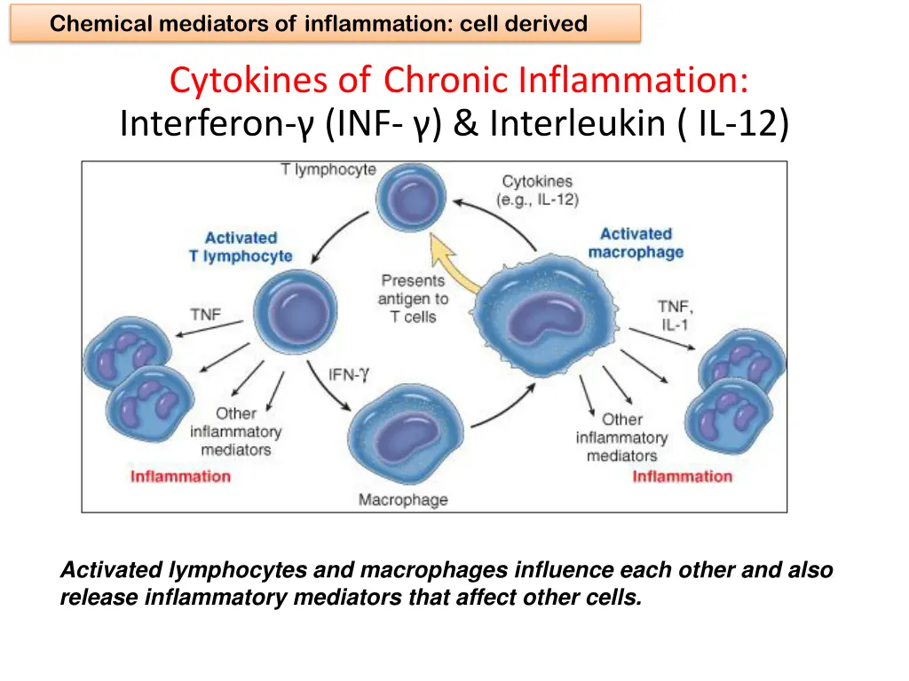 chemical mediators of inflammation cell derived 5