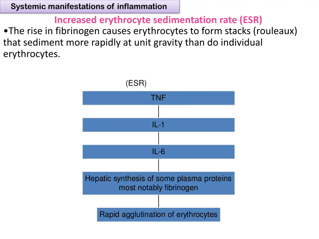 systemic manifestations of inflammation 6