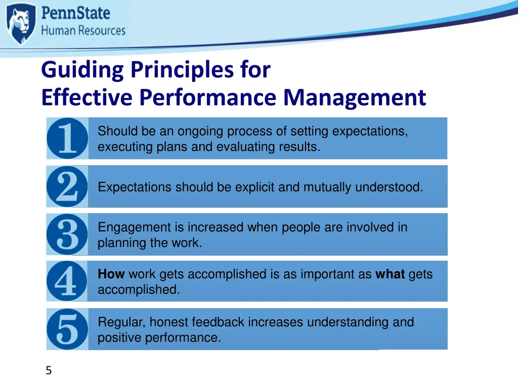 guiding principles for effective performance