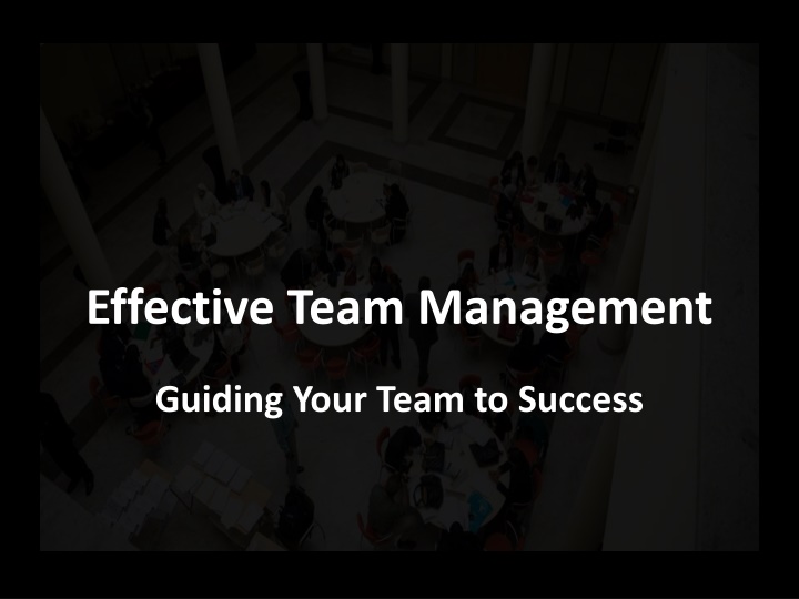 effective team management