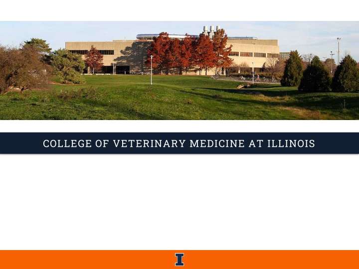 college of veterinary medicine at illinois