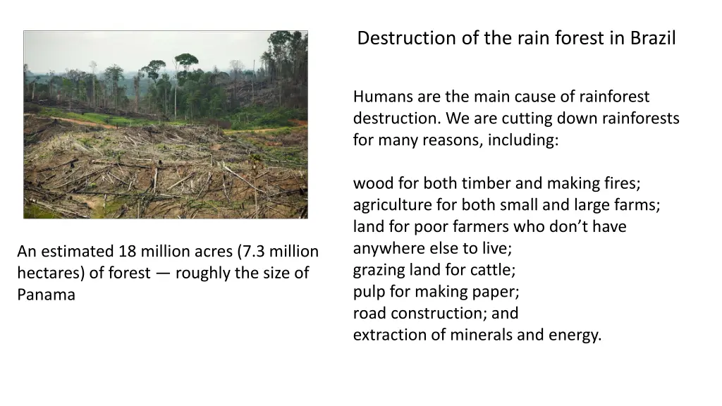 destruction of the rain forest in brazil