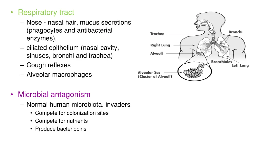 respiratory tract nose nasal hair mucus