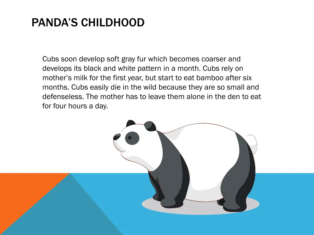 panda s childhood