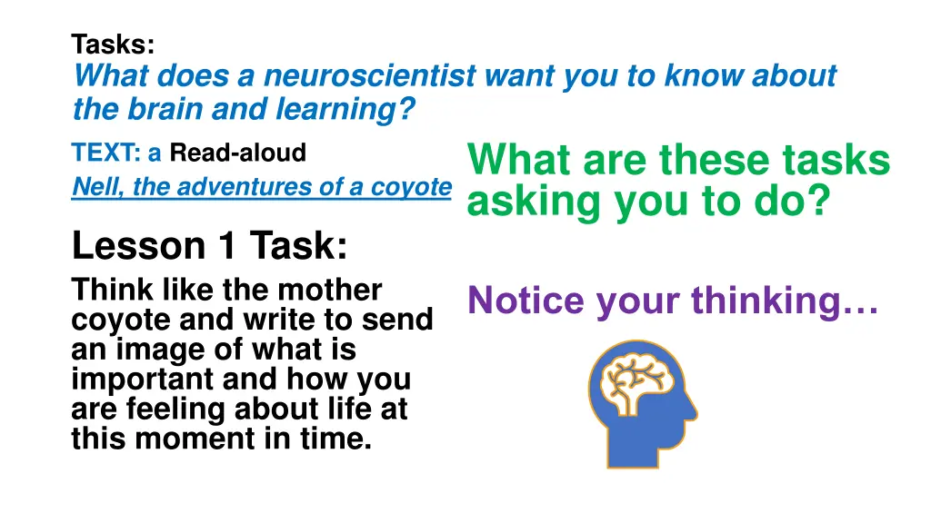 tasks what does a neuroscientist want you to know 1