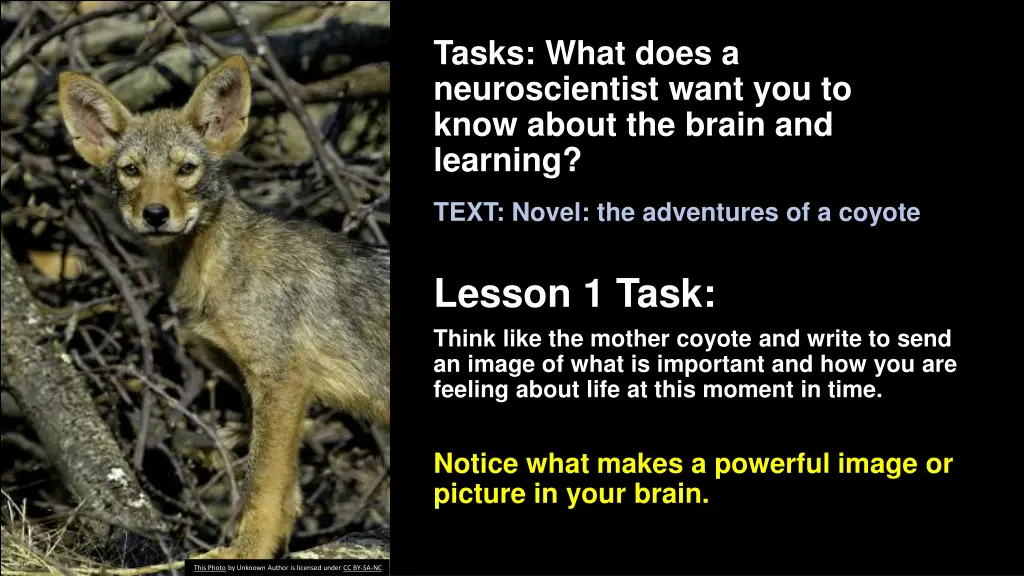 tasks what does a neuroscientist want you to know