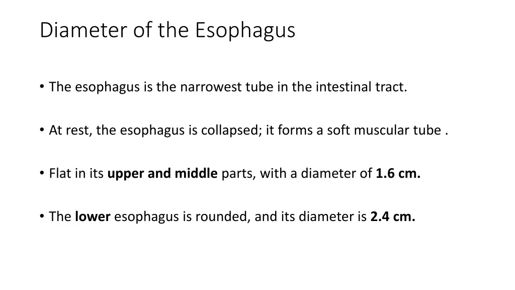 diameter of the esophagus