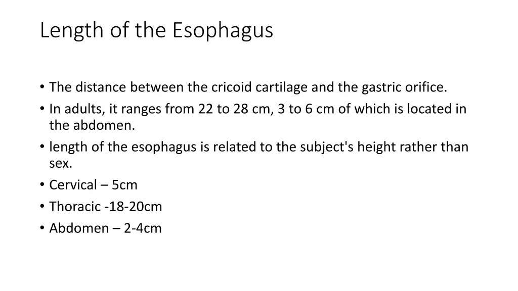 length of the esophagus