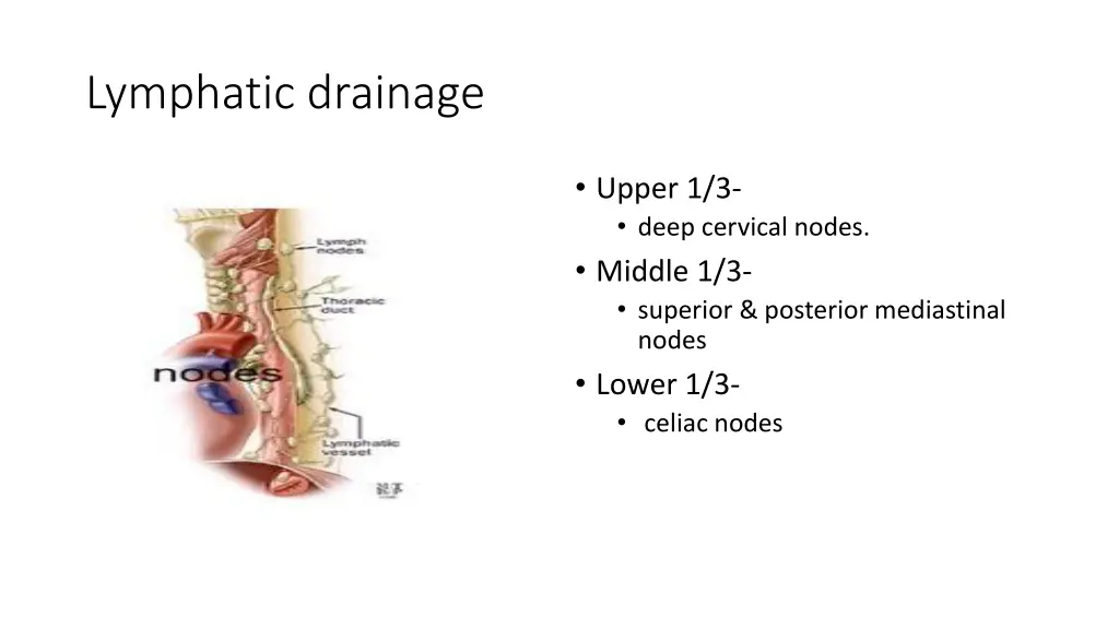 lymphatic drainage