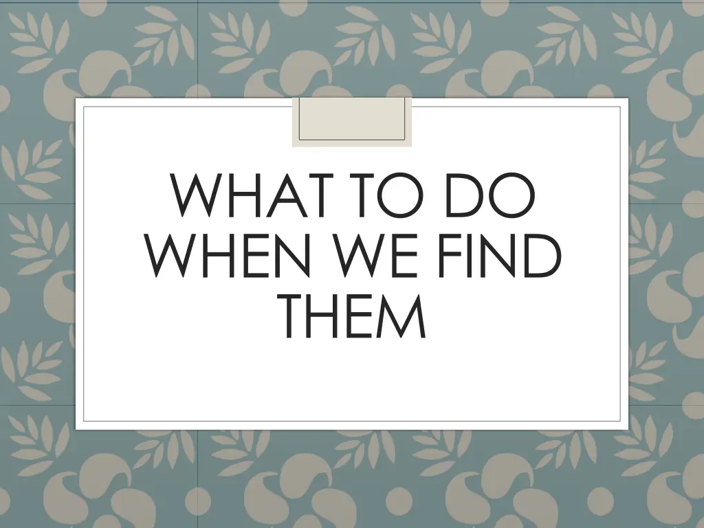 what to do when we find them