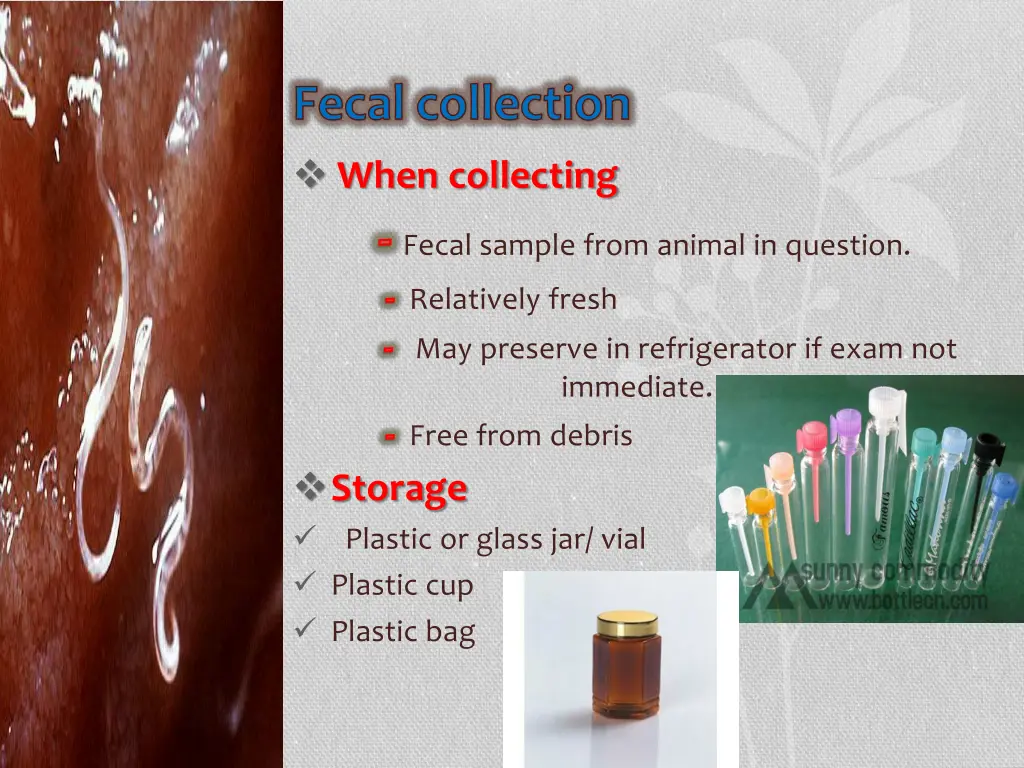 fecal collection when collecting fecal sample