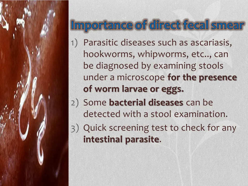 importance of direct fecal smear