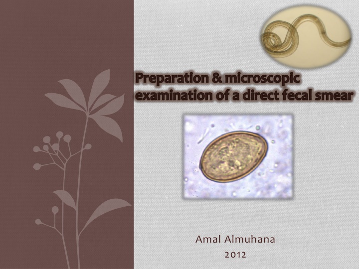 preparation microscopic examination of a direct