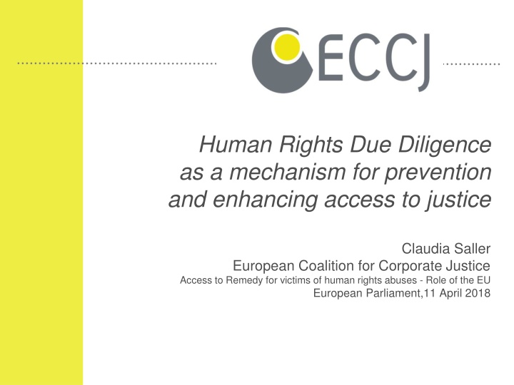 human rights due diligence as a mechanism